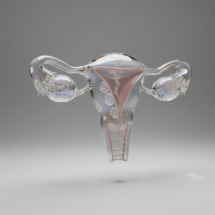 Glas Uterus